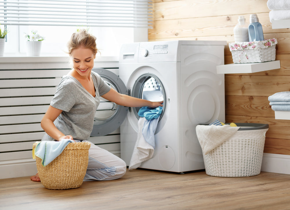 will-bed-bugs-die-in-the-washer-furnitureful